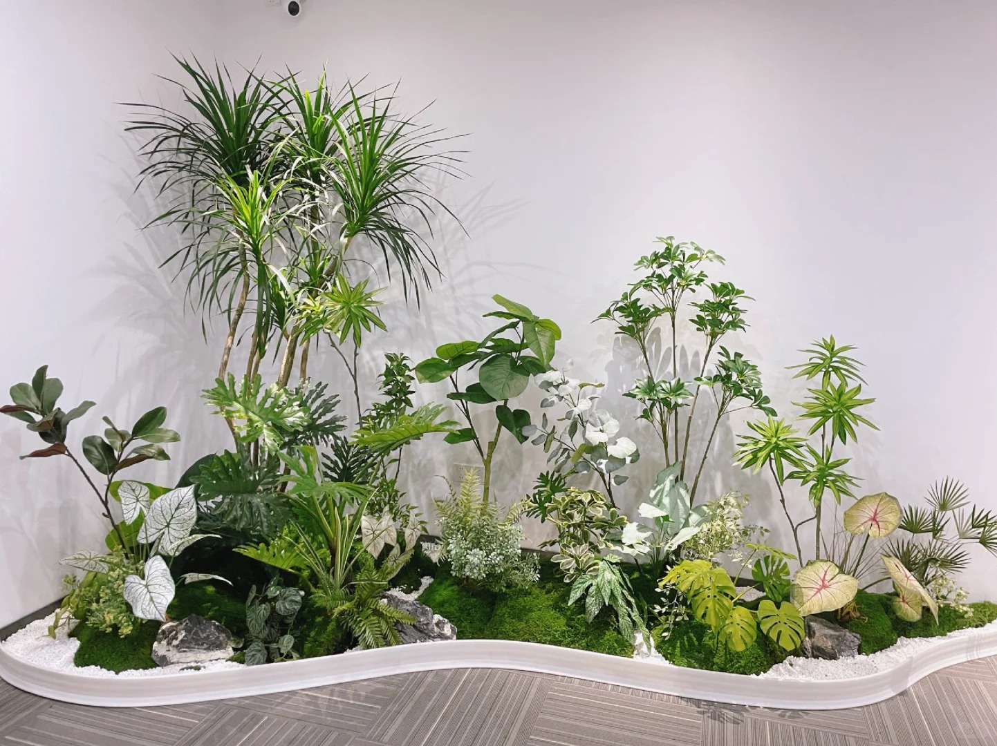 专业慈溪盆景出租,用绿植演绎空间美学